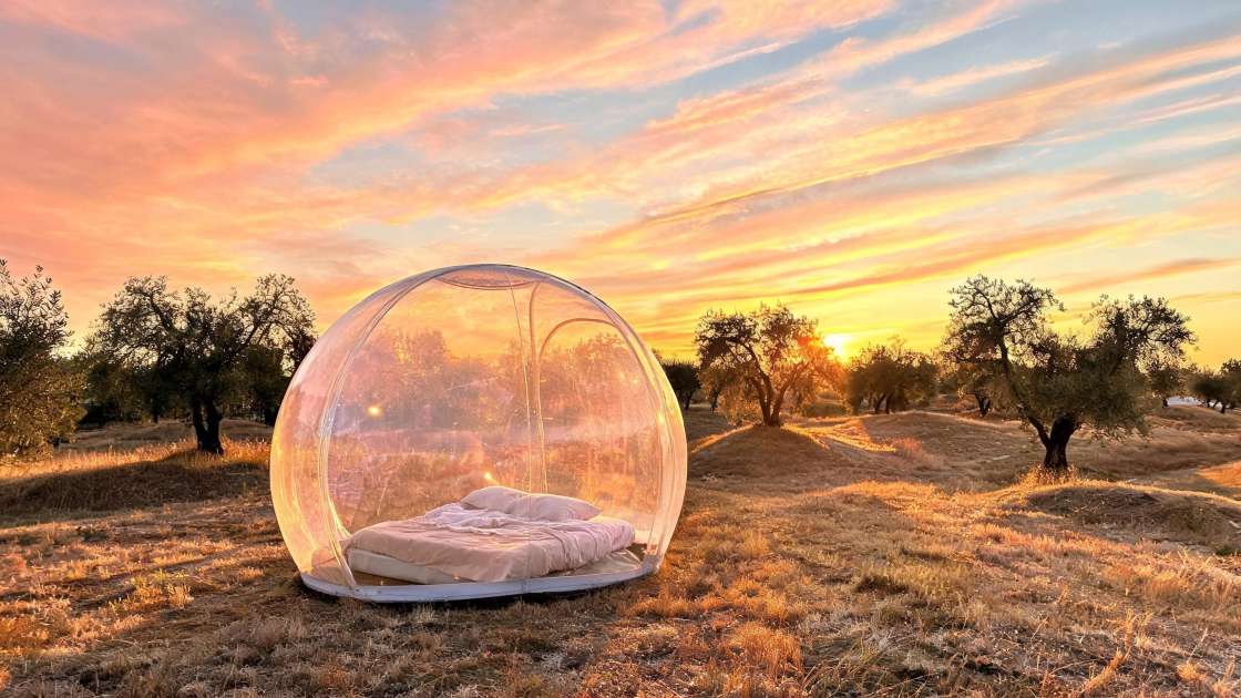 Glamping Burbuja en Villena: Guía Completa de Precios, Servicios y Reservas en Nomading Camp